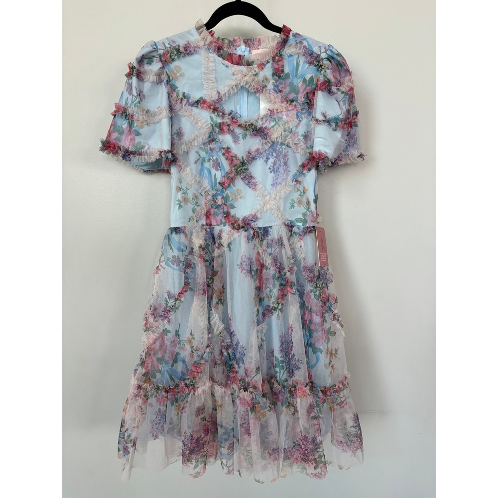Ivy City Co Quinn Dress Light Blue Floral Ruffle Mesh Mini Dress Small